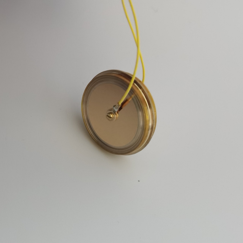 M7 Gold-plated 32mm Large Gold - Microphone Capsule 评论和价格
