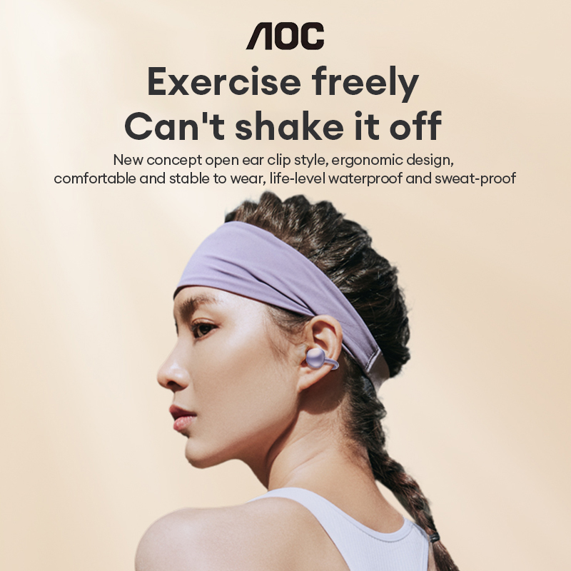 AOC ACD2544 Wireless Bluetooth - Audio Cable Rca 评论和价格