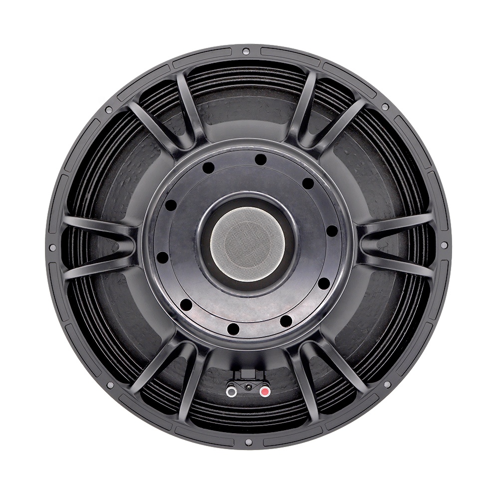 21'' Professional Audio System - Subwoofer 评论和价格